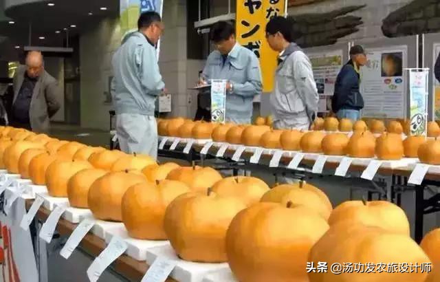 鲁家村田园综合体案例,10个日本田园综合体案例