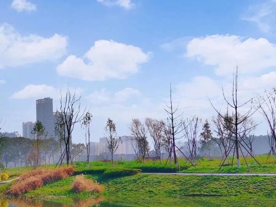 青白江十大健身地,青白江体育