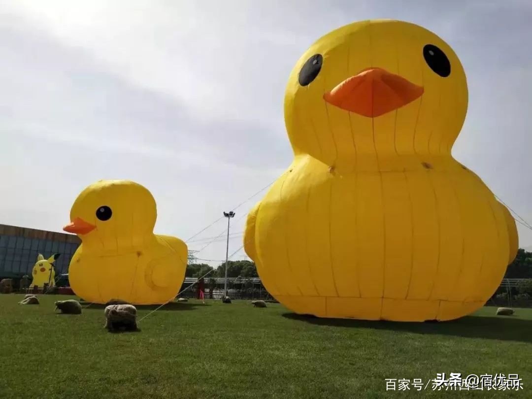 苏州太湖花海主题公园,太湖花海游乐场