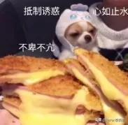 韩剧男主超帅瞬间合集玄彬,玄彬超甜韩剧