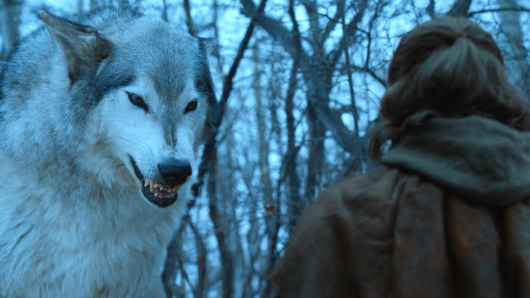 权游第八季熊家,权游8最新视频