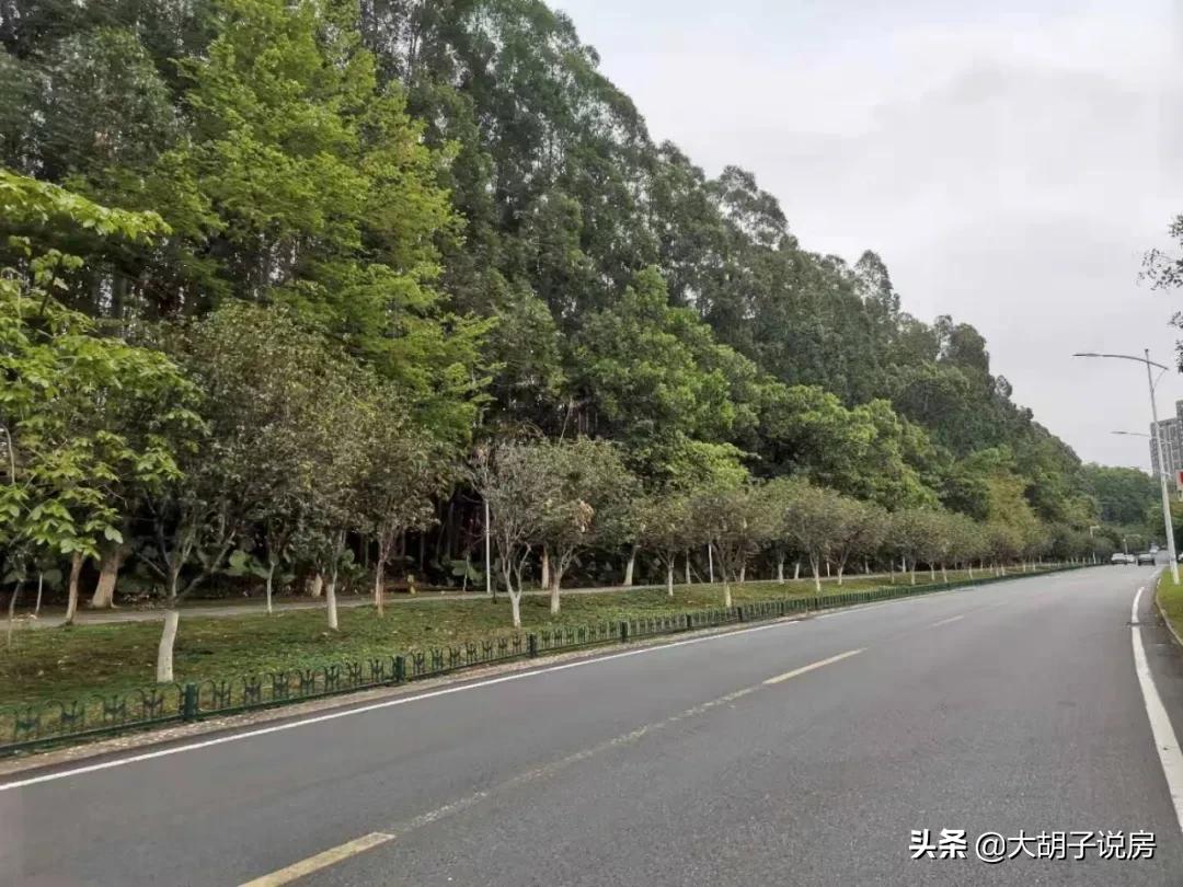 华为来了！房价直追深圳！这里真的能买吗？