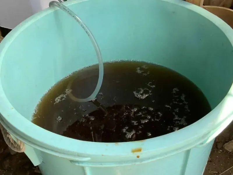 每天剩饭制作酵素肥料,酵素堆肥烂菜叶子制作全过程