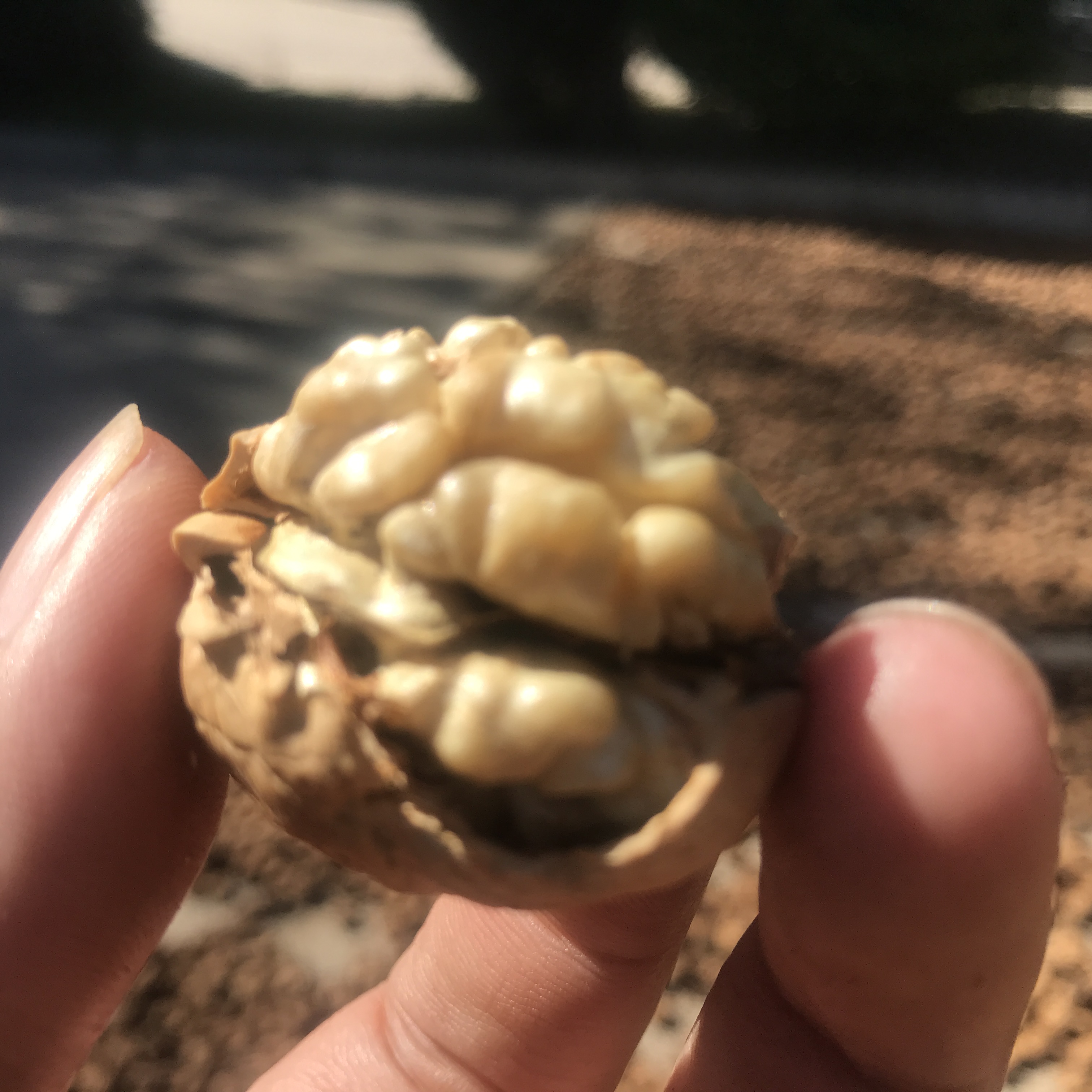 孩子爱吃甜食一嘴小黑牙，此招一出，父母小孩都快乐