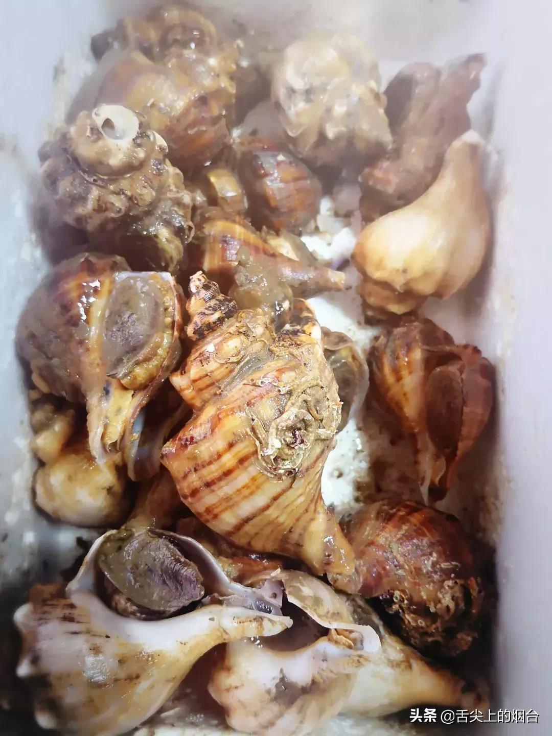 烟台海鲜小杂鱼批发,烟台海鲜自提