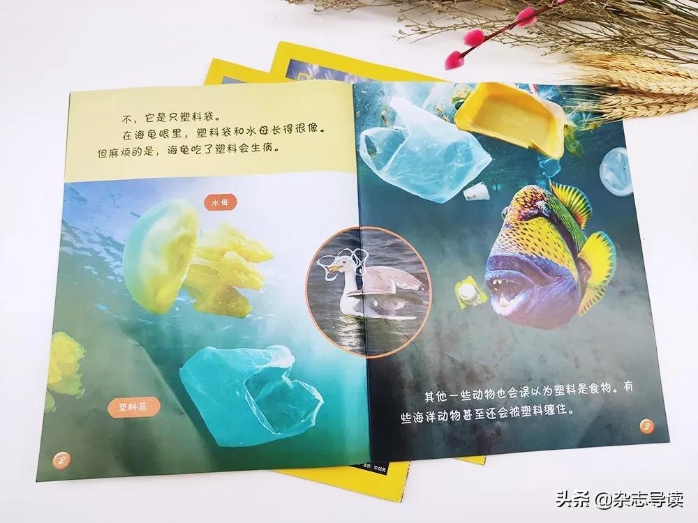 孩子必读的科普读物,哪些适合小学生看的科普杂志