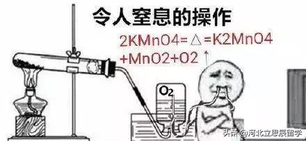 留学生刚出国要知道的事,留学生出国第一个月的感受