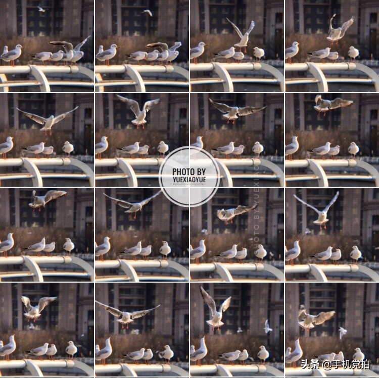 拍物体光线技巧,手机如何拍光线轨迹