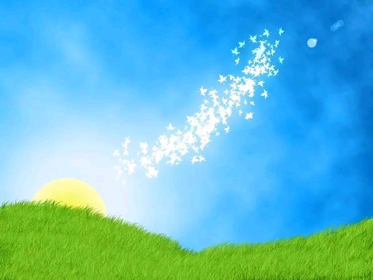 人不能正视自己的问题是很可悲的,人最大的智慧就是有自知之明