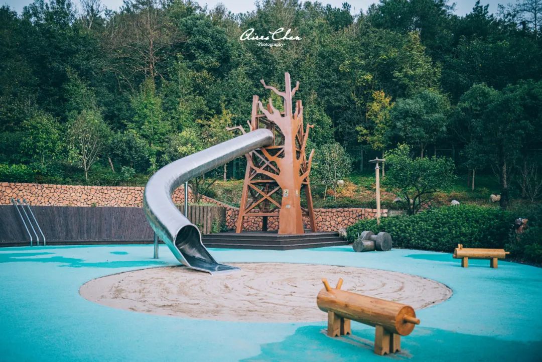 这是湖边度假酒店的性价比天花板！还有双11玩法剧透