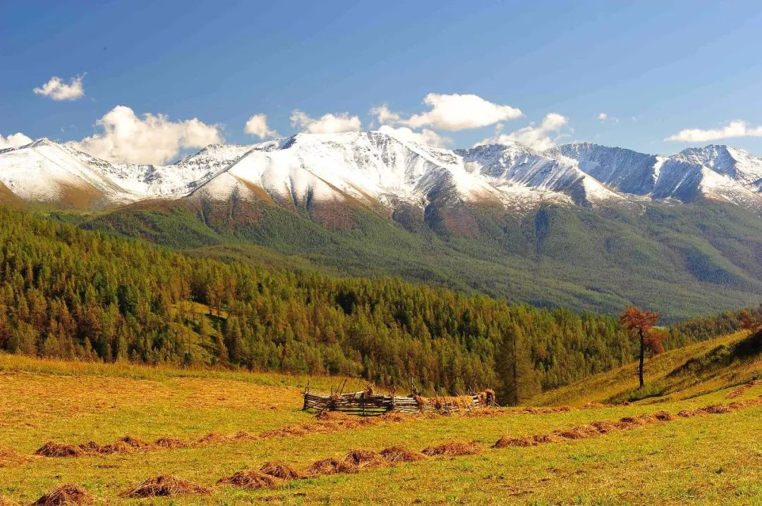 央视十大经典背景音乐,央视常用的16首经典背景音乐