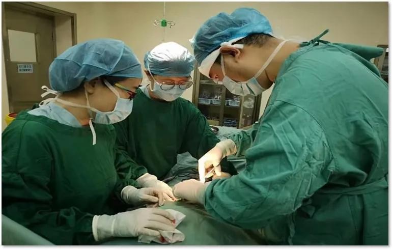 天津医科大学第二医院-肾内科