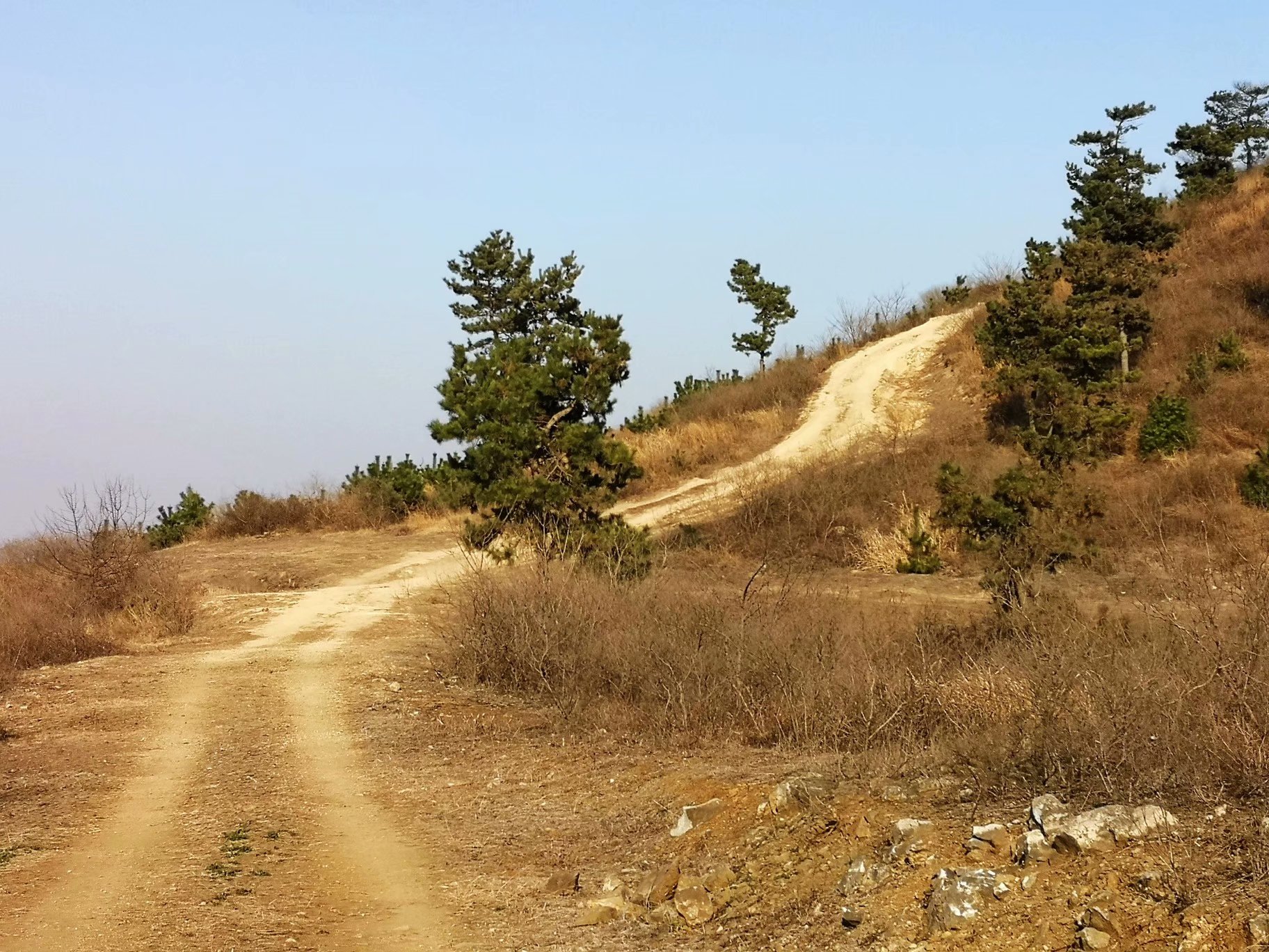 摩托周边旮旯游——探访蚌埠李楼鲁山寺遗址（上）