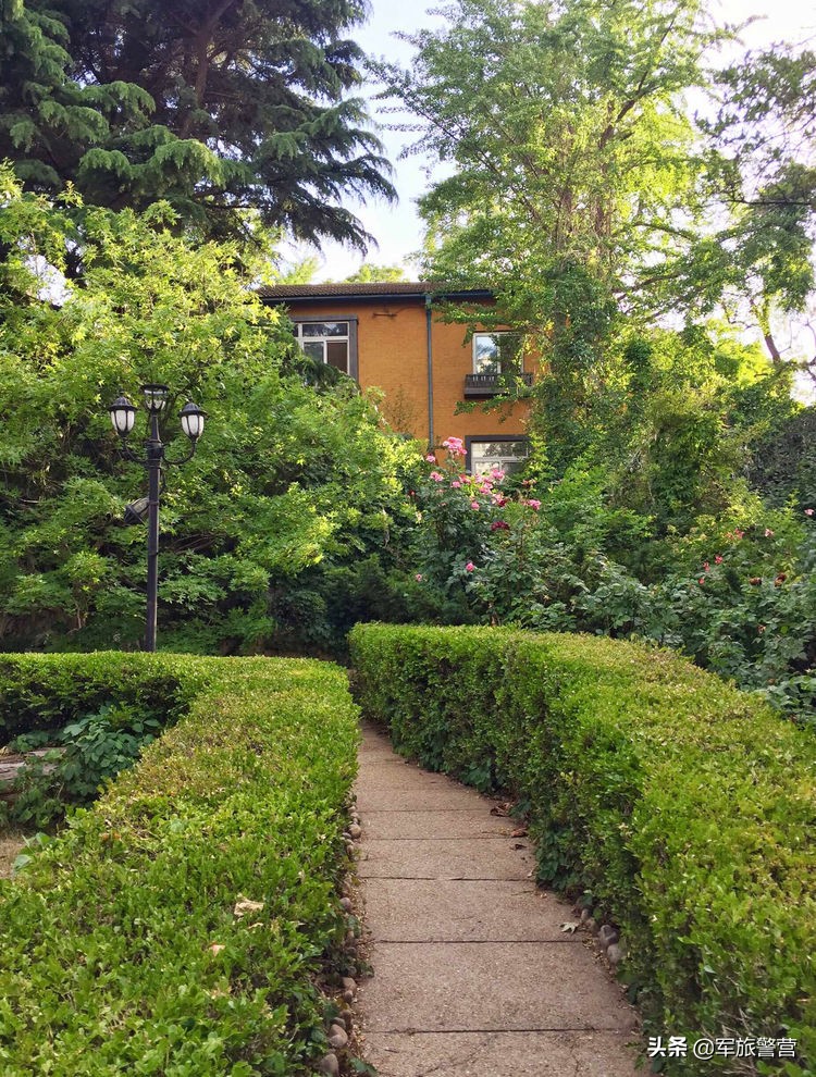 大连八七疗养院战友,大连市八七疗养院的故事