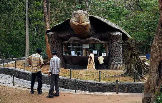 免费出国旅游骗局揭秘,低价出国游陷阱