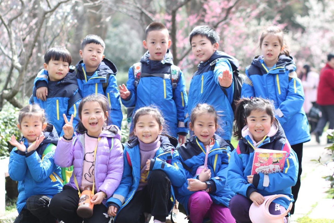 河西区公办小学,南京河西南有哪些好的小学