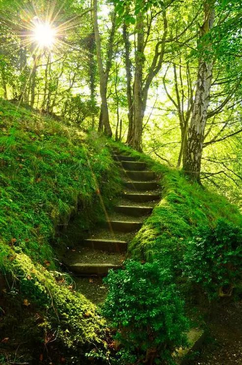 听古诗的音频,听诗歌朗诵的心情