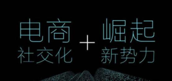 电商拼购平台有哪些,社交电商有哪些平台