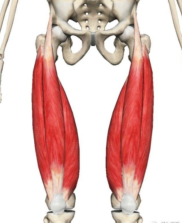 下蹲时膝关节疼痛可能是什么原因,膝关节下蹲到底时疼