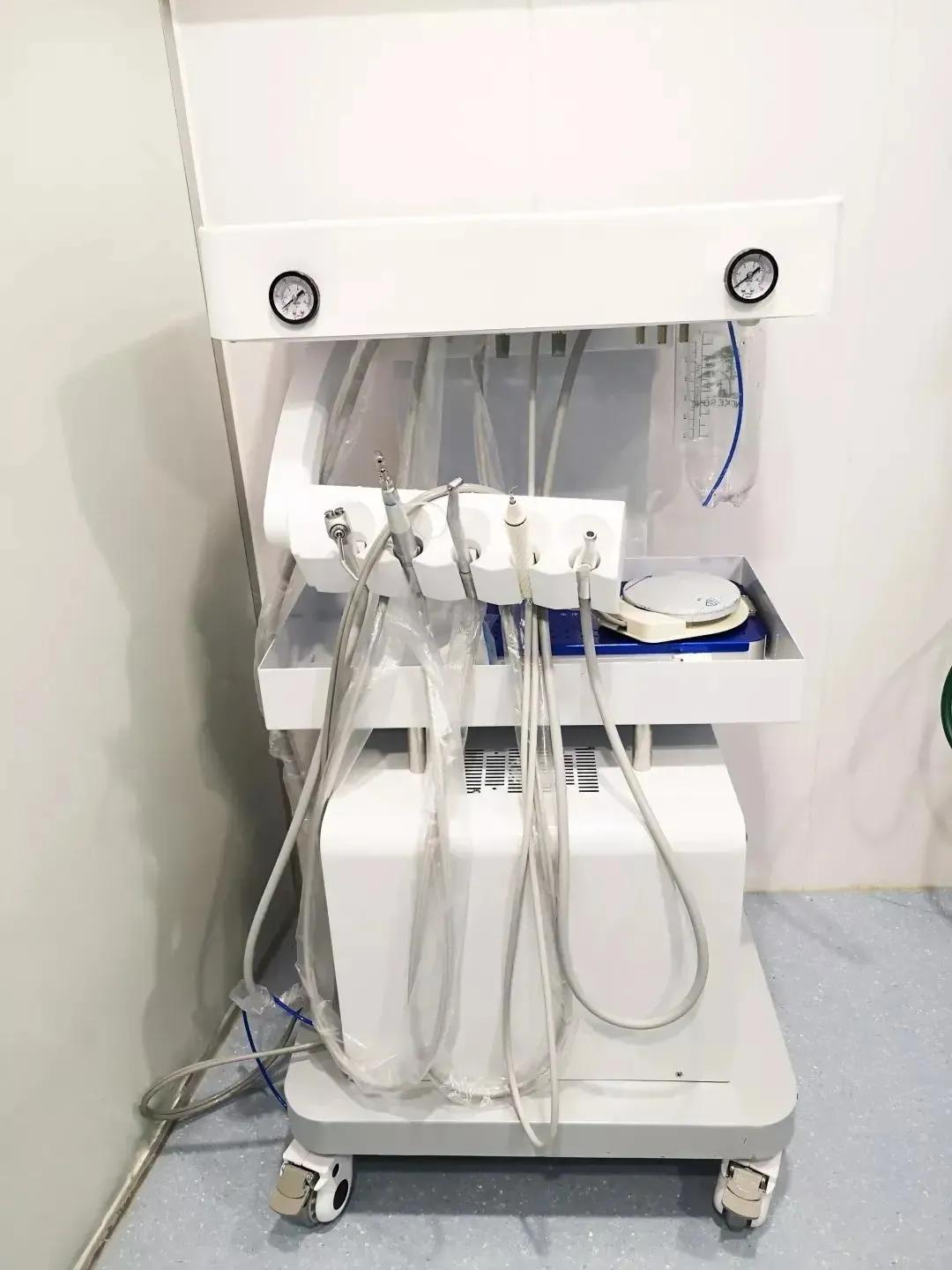 猫咪长蛀牙怎么办,猫咪蛀牙治疗费用