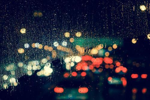 杀狗的人,杀狗者被警方带走