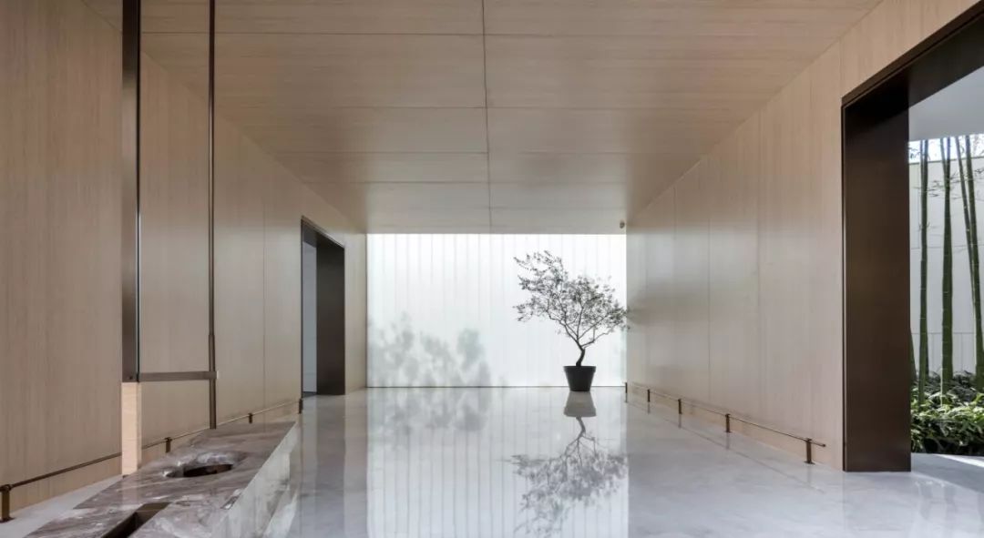 连续五天看了五遍的仁恒滨江园。︱刘德科