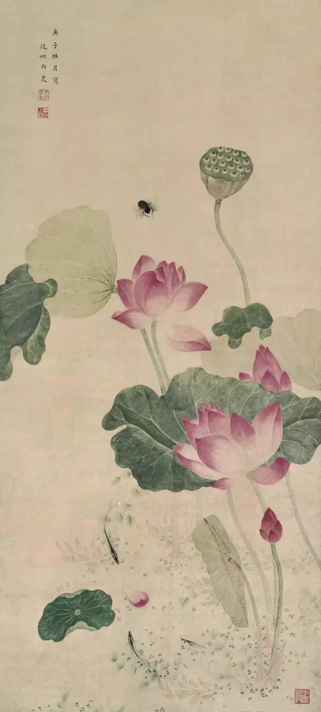 赏荷花情景教学,江南荷花开西湖赏荷寻味攻略