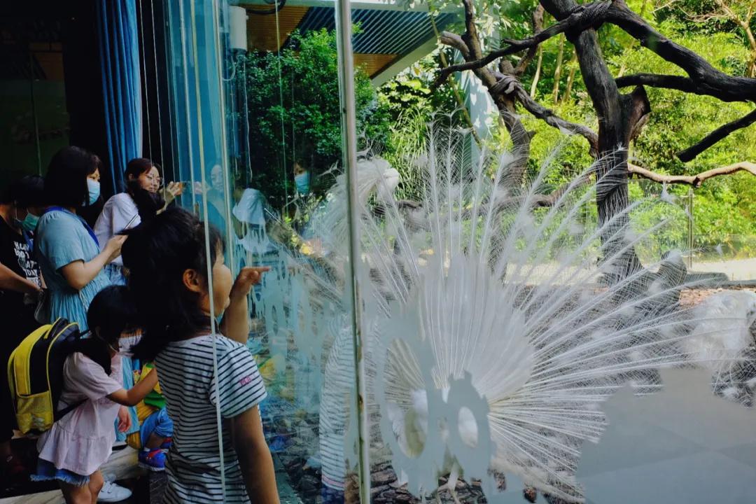 广州长隆攻略注意事项,广州长隆优惠攻略