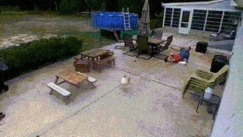 搞笑动态图gif暴躁老哥已上线,gif搞笑动图事件