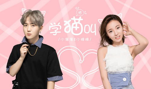 2017年十大年度神曲你听过几首,2017年神曲盘点