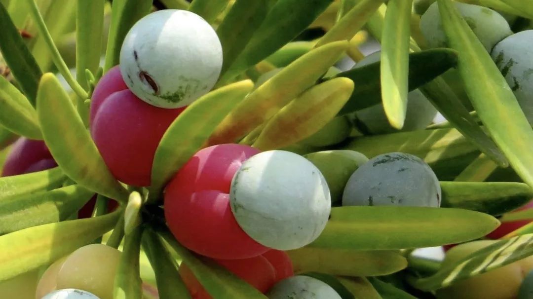 宅家还不逛淘宝？低价格、高格调好物，链接直给，买就完了