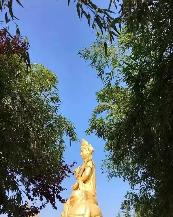 陕西8月免门票旅游景区大盘点,陕西哪些旅游景点降价