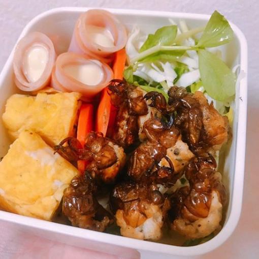 胆真大！曝日本女星将昆虫当食物，直言蟑螂味道像虾