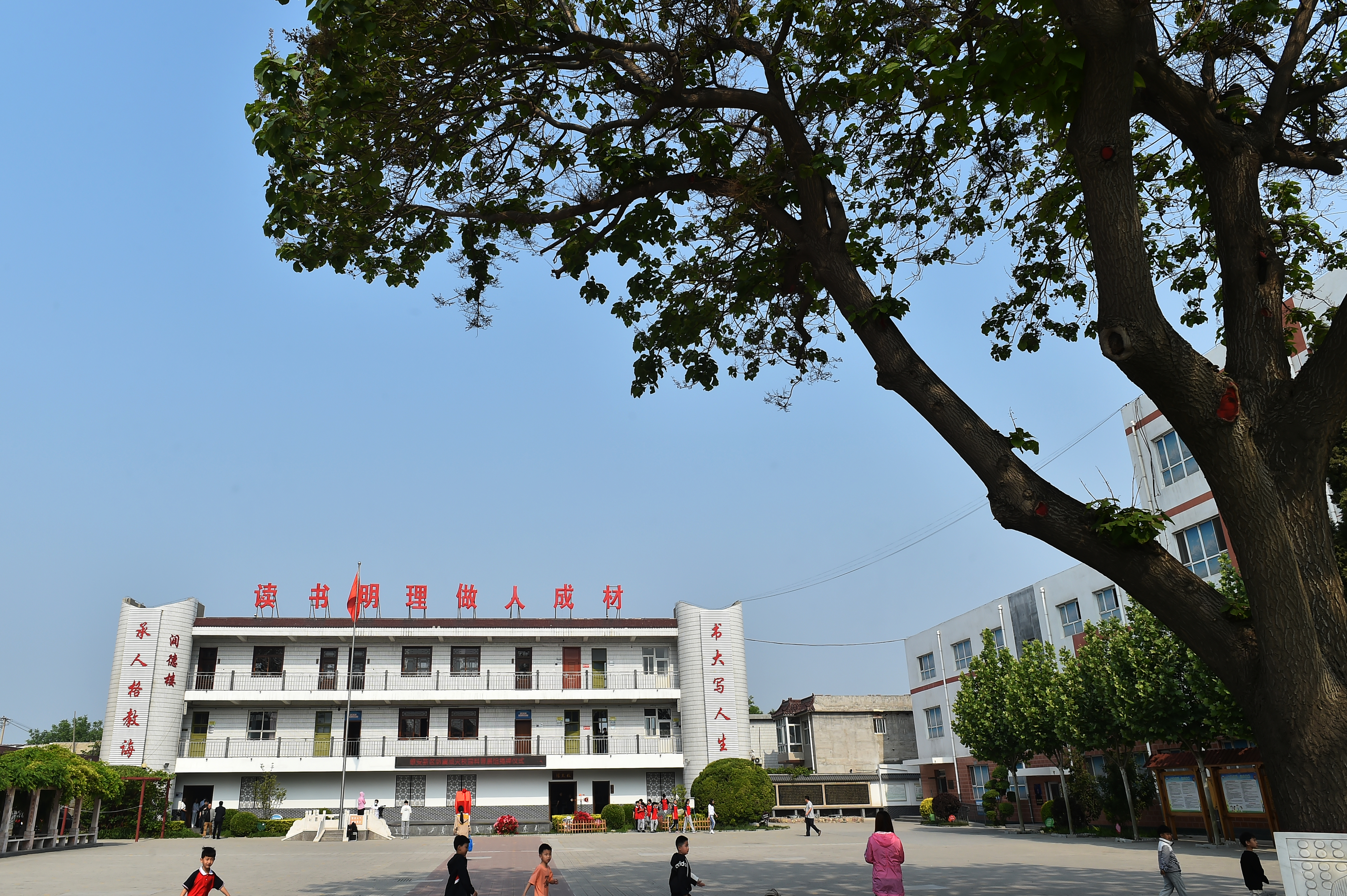 安新第二小学,绿树成荫倪邱中学校园