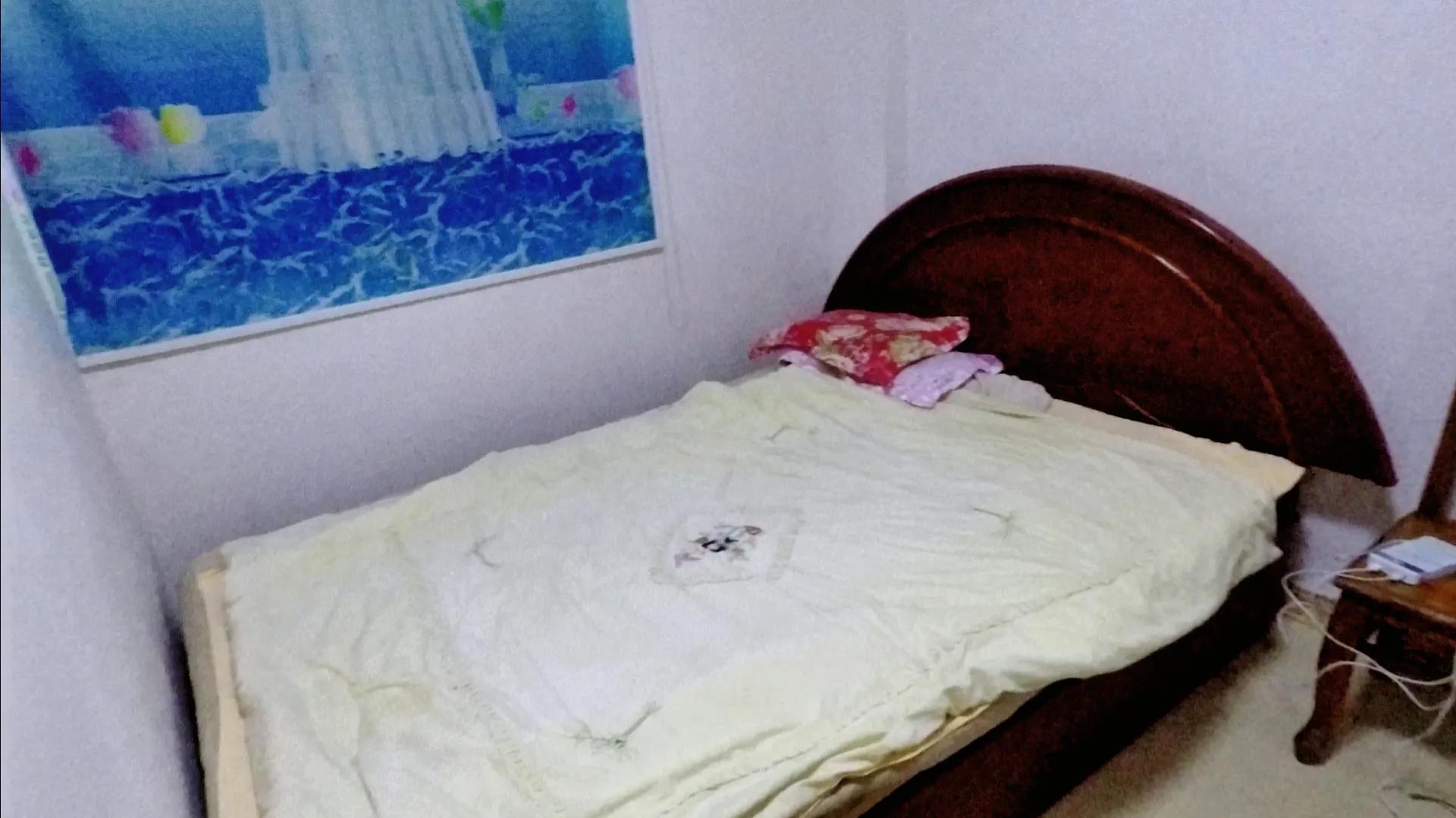 四川南充自由行游记,游遍四川之阆中