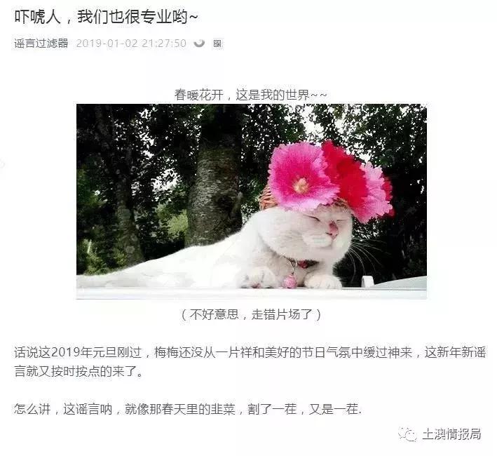 一波好事者的谣言之后，代购圈开始画画了