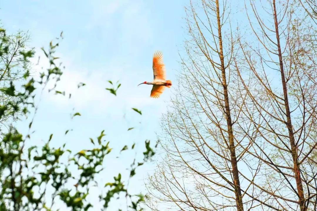 最新款领克01驾驶体验,领克01探界者怎么选