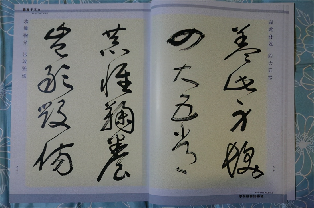 草书千字文真迹,书法千字文作品欣赏启功先生