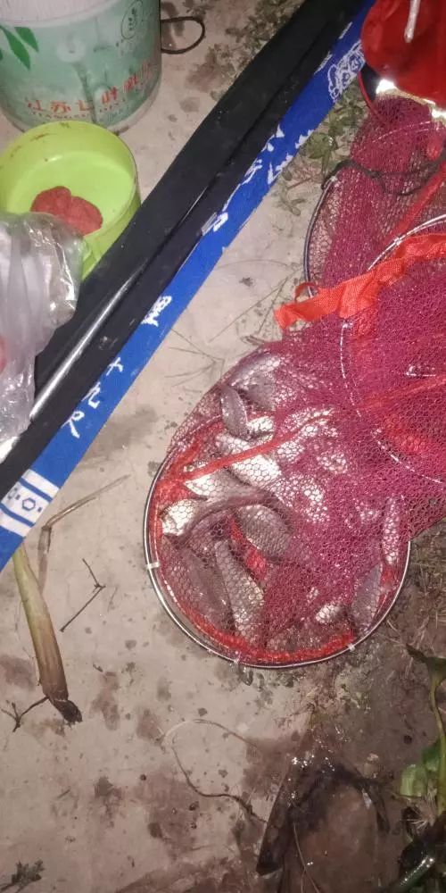 本汀财神鲫竿,本汀财神鲫完整版