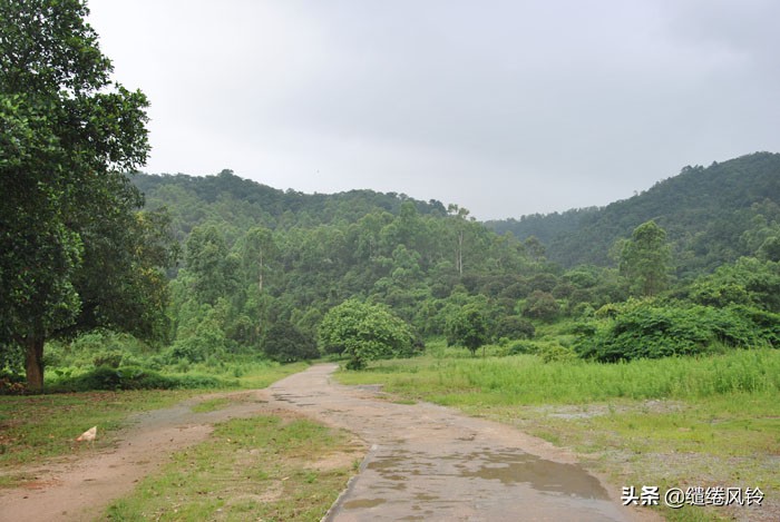 珠海竹洲水松林，意外发现的珠中江“SB”界碑，究竟作何解释？