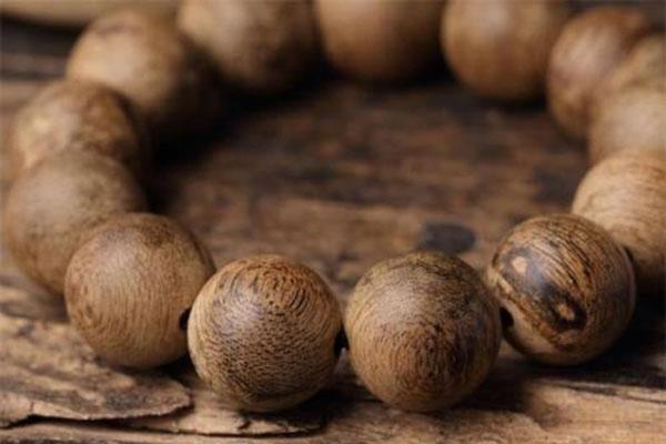 沉香三大树种,沉香木头香种