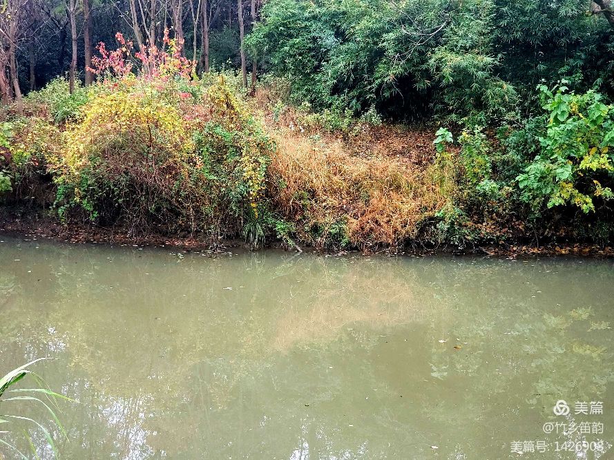 绝美西溪,西溪南冬季景色