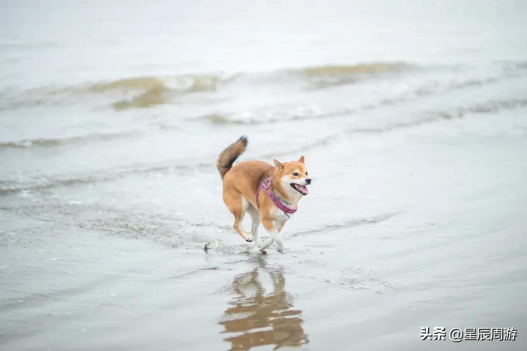 启东江海澜湾高端度假酒店,启东滨海高端度假酒店