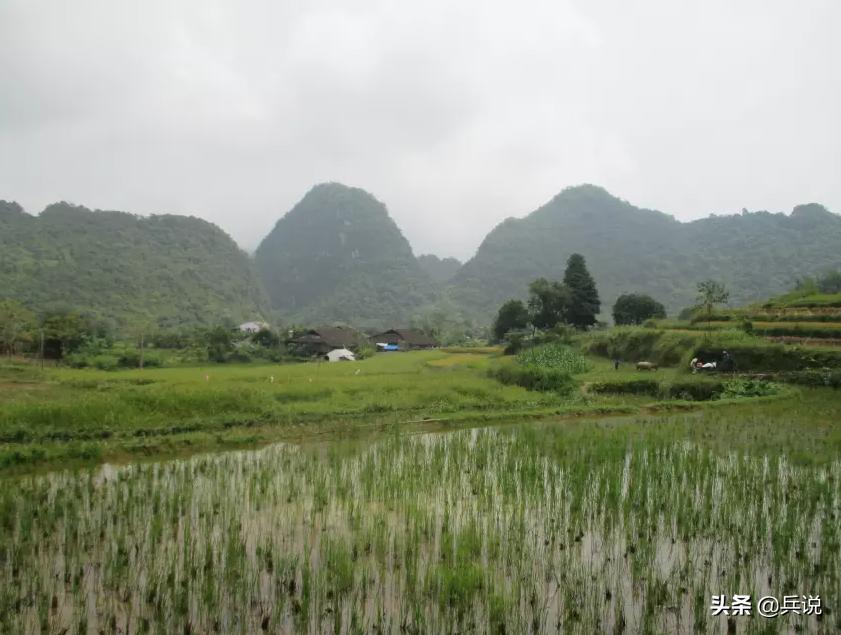 越南老兵重回当年战斗过的洞穴 (越南老兵回忆丛林战争)