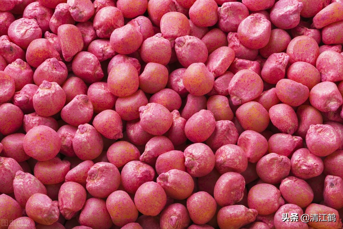 种子质量标准包括哪些,种子质量有问题造成减产怎么处理