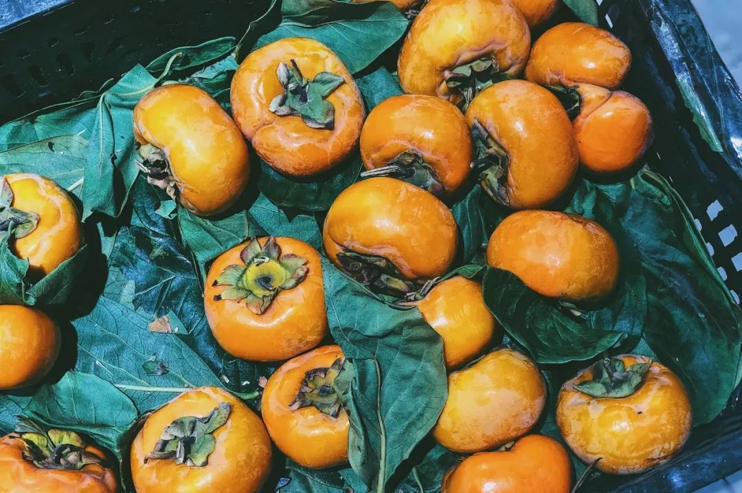 一个冬天的热乎气儿，全靠他们撑着了