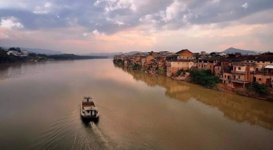 梅州蜜柚新鲜水果红肉柚子,正宗梅州红心蜜柚新鲜