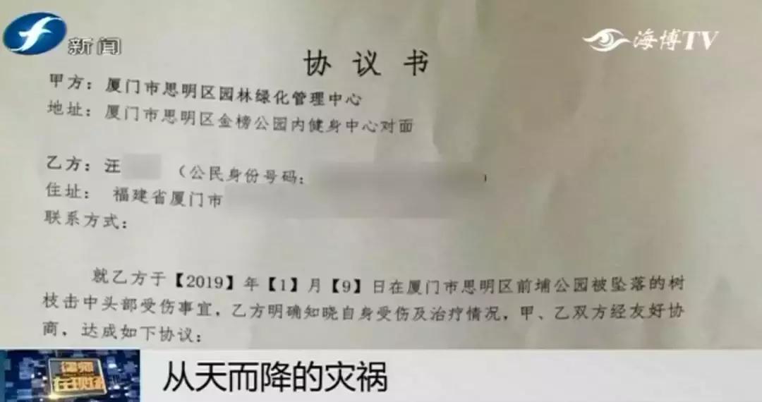 好险|大爷公园散步，硕大枝条垂直戳下，再偏毫厘后果不敢想！