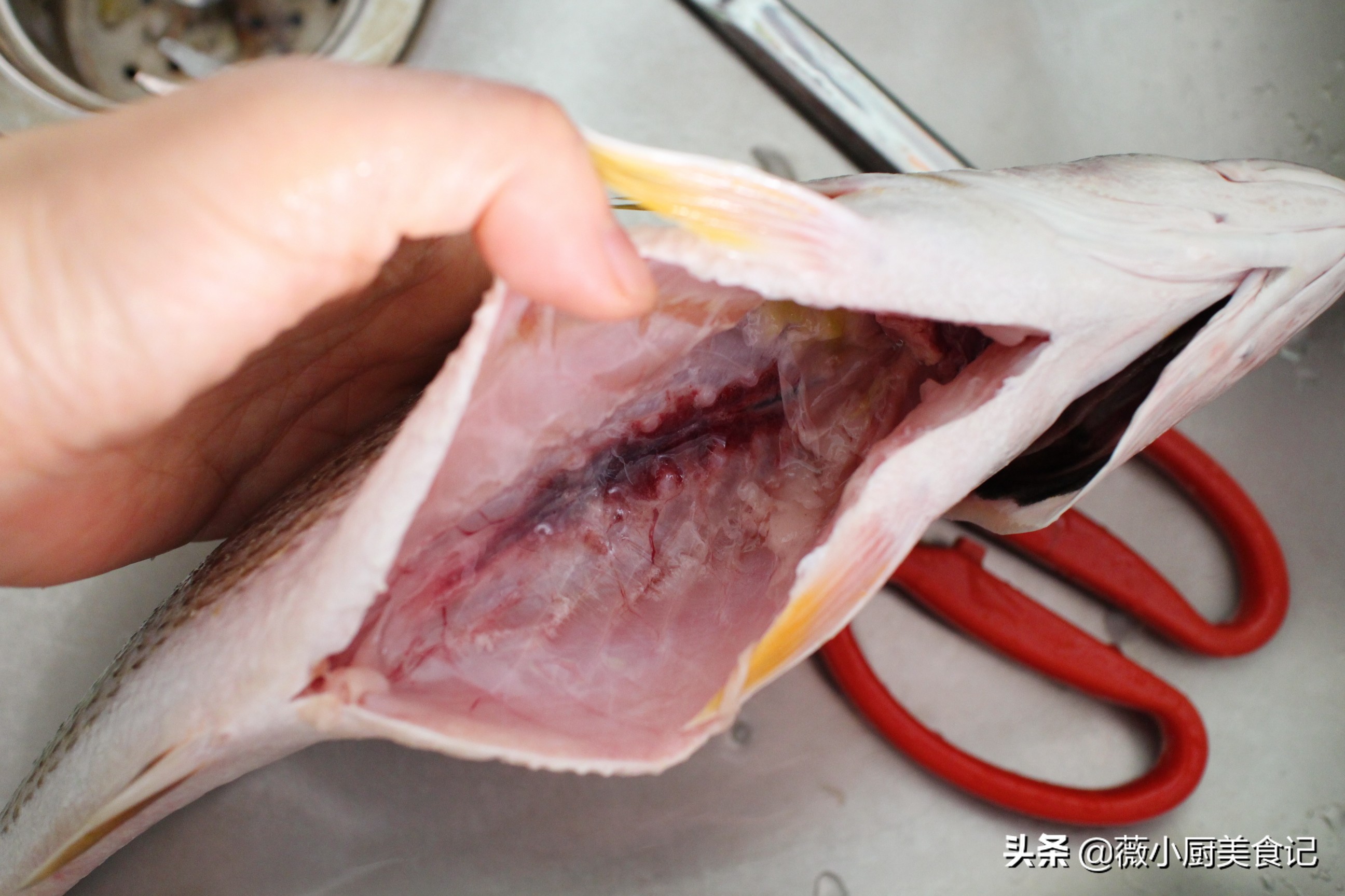 怎样蒸鱼不腥又好吃,蒸鱼怎样做才嫩而且好吃