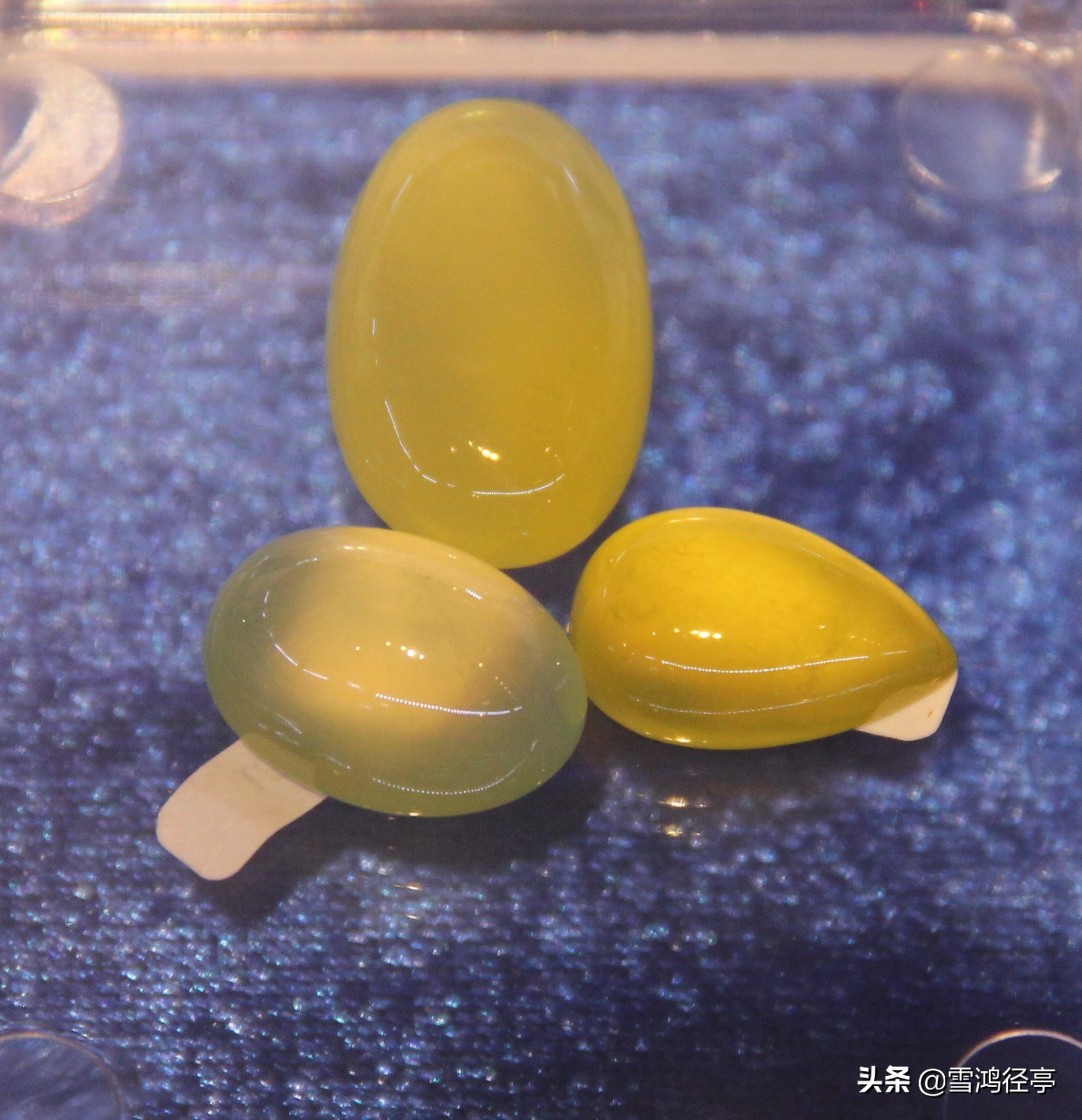 112首诗词中，这些词语您家孩子理解对了吗？（三）